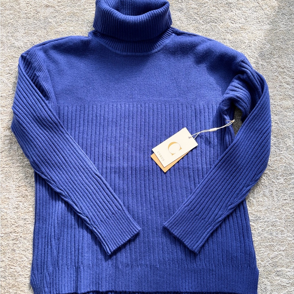 NWT Cyrus Blue Ribbed Turtleneck Sweater